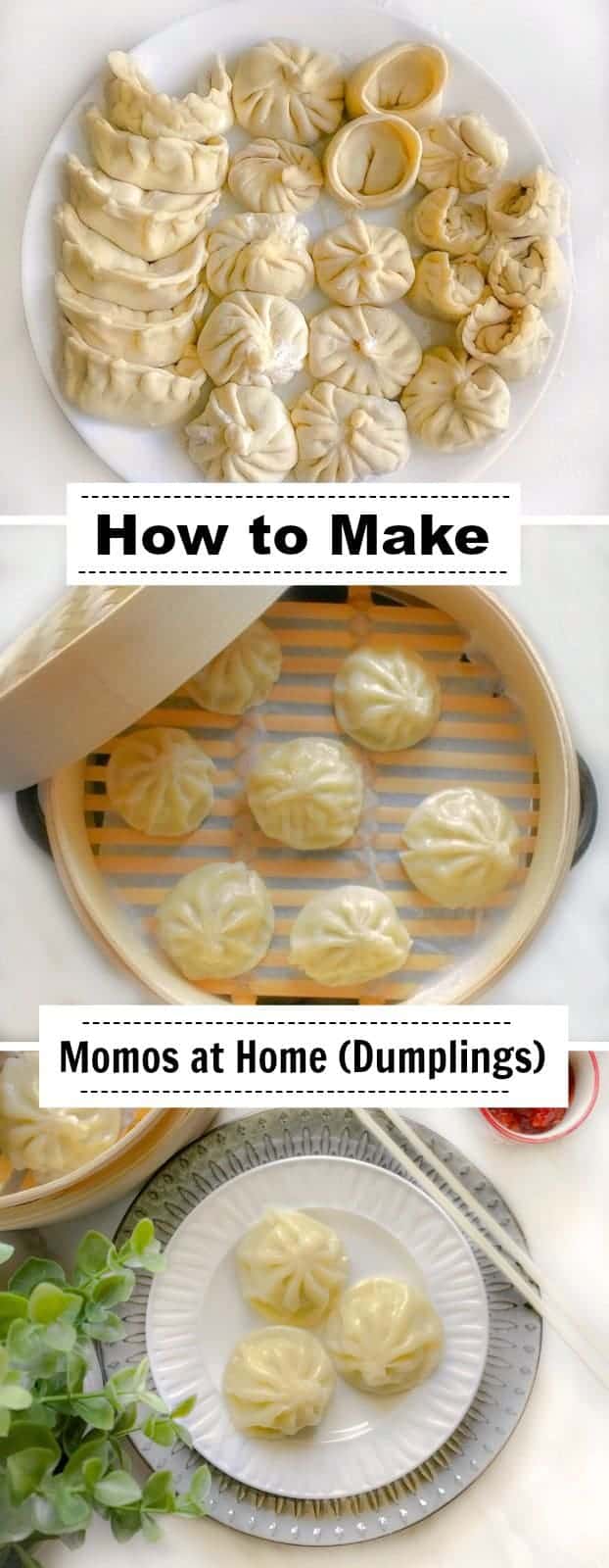 How To Make Momos At Home (Dumpling/ Pierogi/ Gyoza + TIPS)