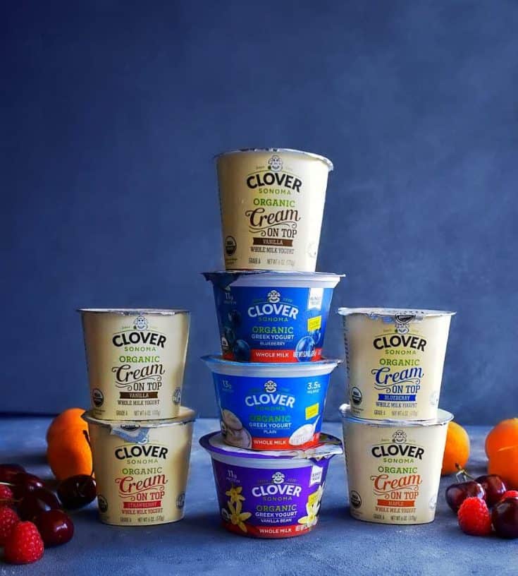 NoBake Raspberry Yogurt Granola Tart Back to School