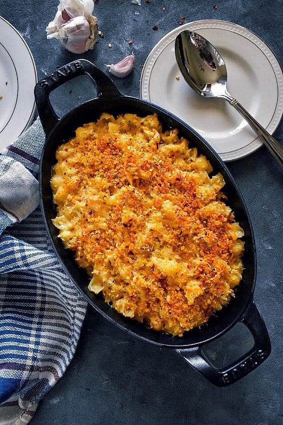 quick cauliflower pasta bake on a blue background