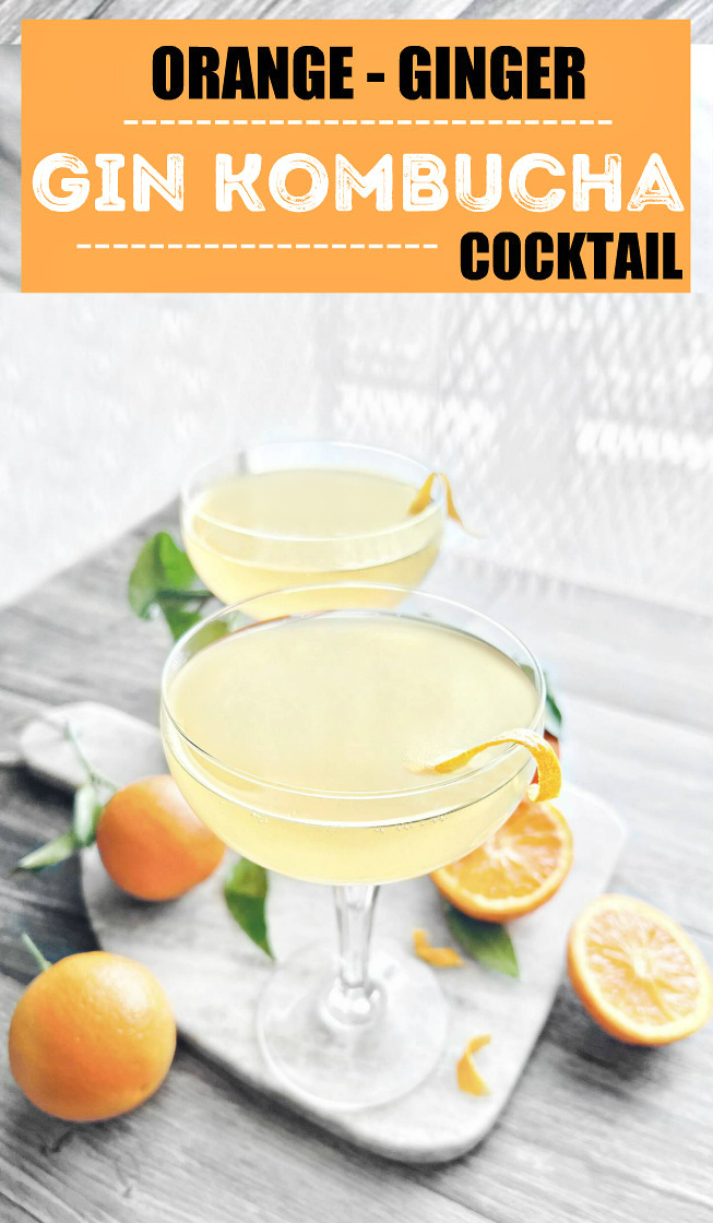 Orange Ginger Gin Kombucha Cocktail Orange Ginger Gin Kombucha Cocktail