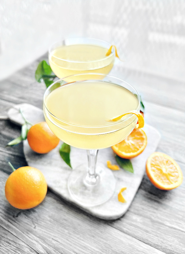 gin kombucha cocktail recipe